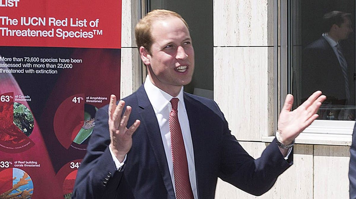 Prins William tilbage på job