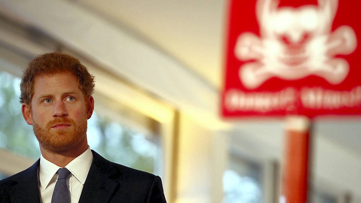 prins harry