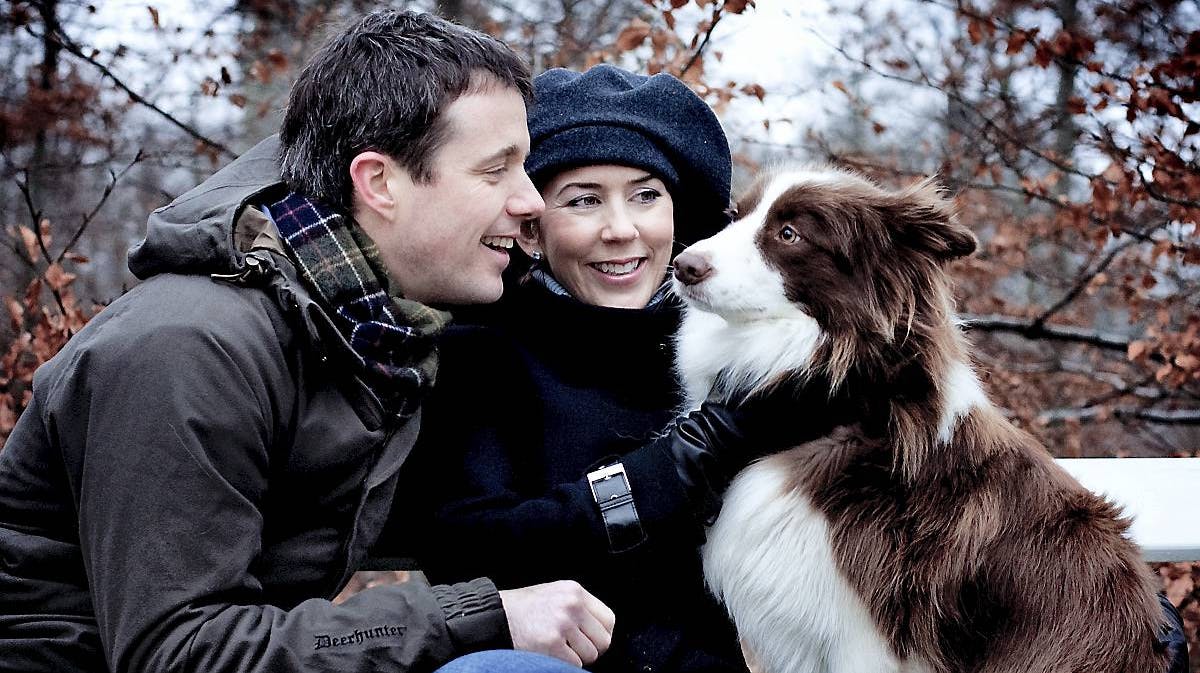 Kronprinsesse Mary, kronprins Frederik og hunden Ziggy