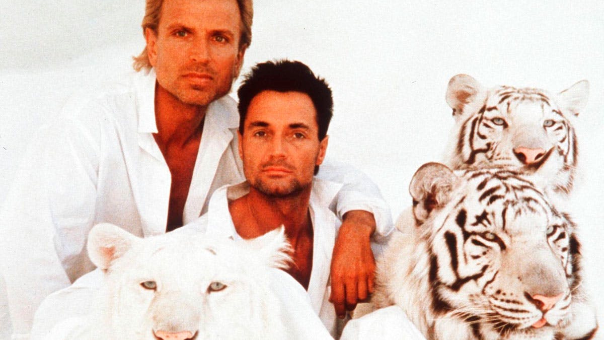 Duoen Siegried og Roy i deres yngre dage med nogle af deres hvide tigre.