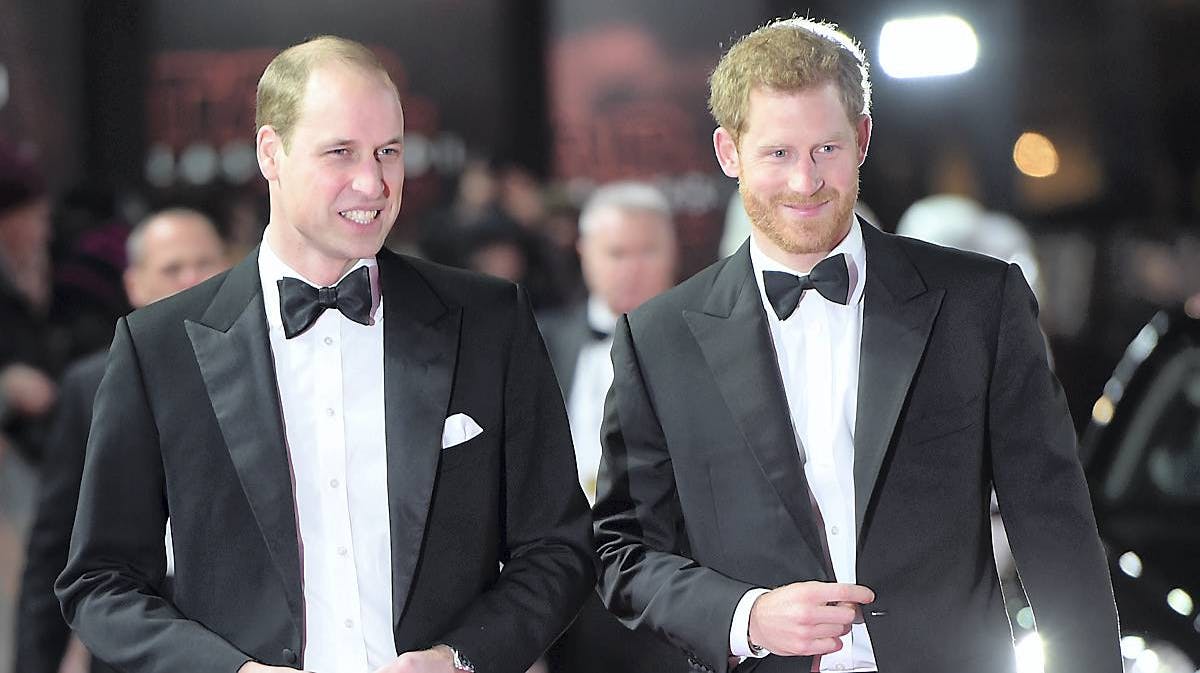 Prins William, prins Harry