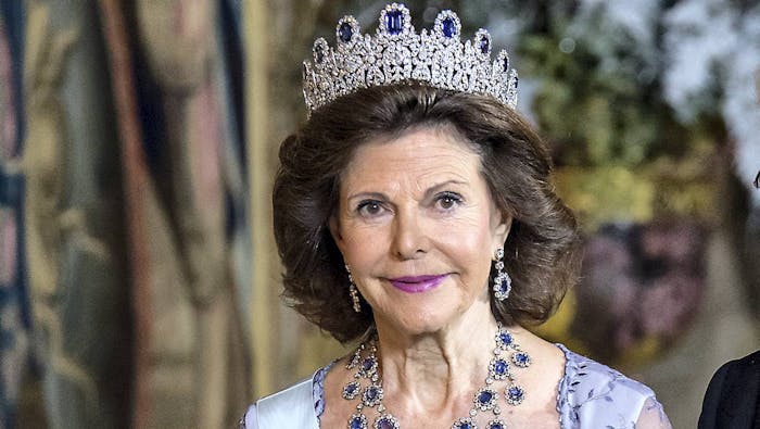 forsvinde Underholdning Inde Sådan fejrer dronning Silvia sin 74-års fødselsdag | BILLED-BLADET