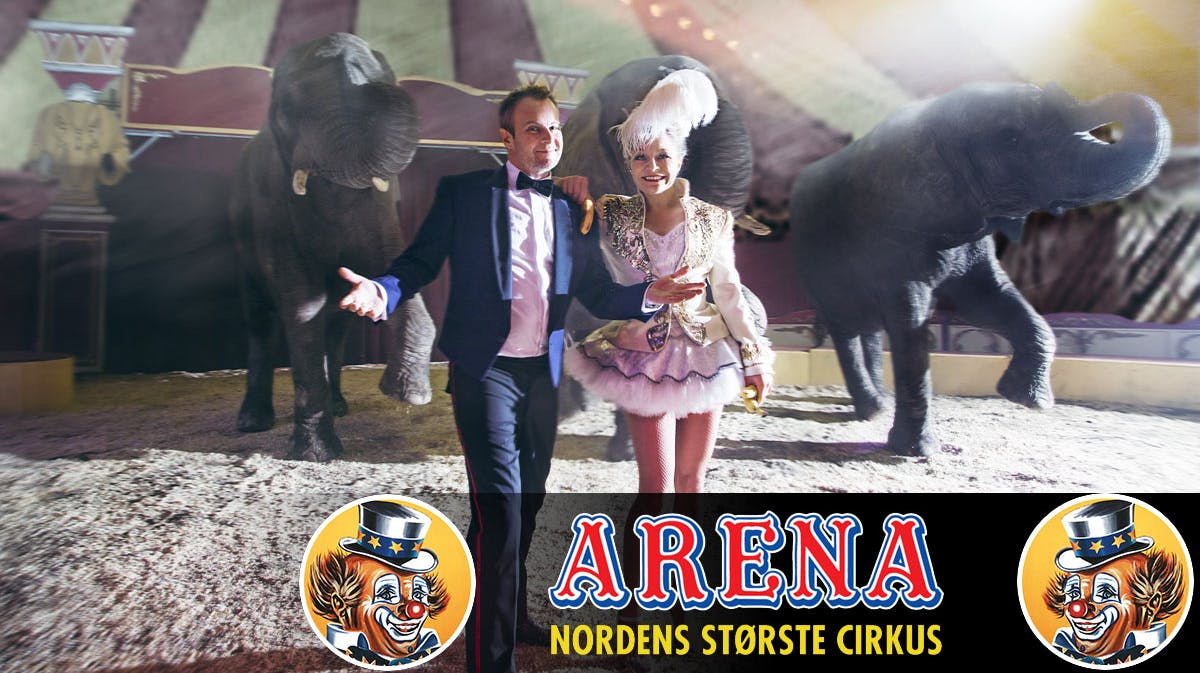 I anledning af Cirkus Arenas 60-års jubilæum i 2015 er det Signe Lindkvist og Uffe Holm der styrer manegen. De to har sammensat en forestilling, der byder på uforudsigelighed og gode grin.