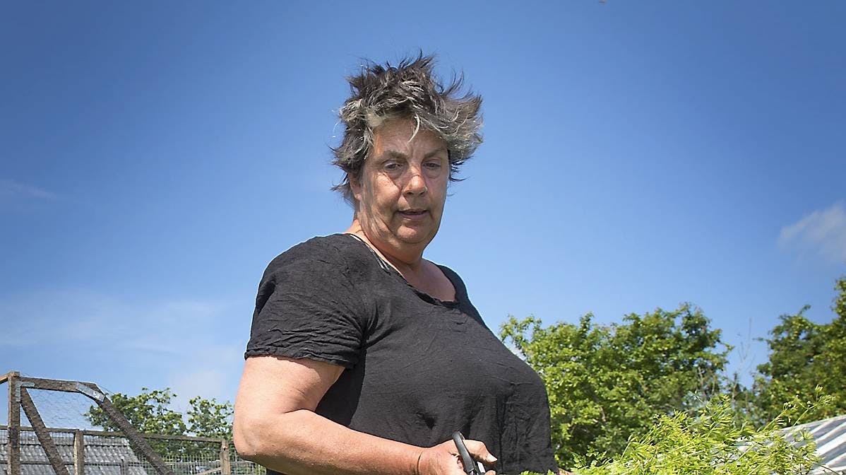 Camilla Plum