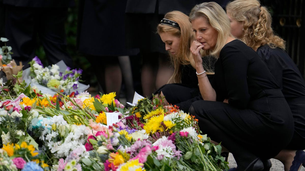 Grevinde Sophie kigger på blomsterhavet 