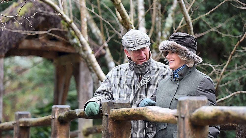 Ingen kan være i tvivl om de varme følelser mellem prins Charles og hertuginde Camilla på det officielle bryllupsdags-foto.