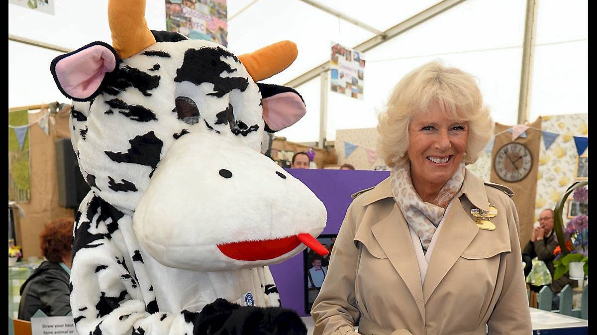 Hertuginde Camilla af Cornwall.