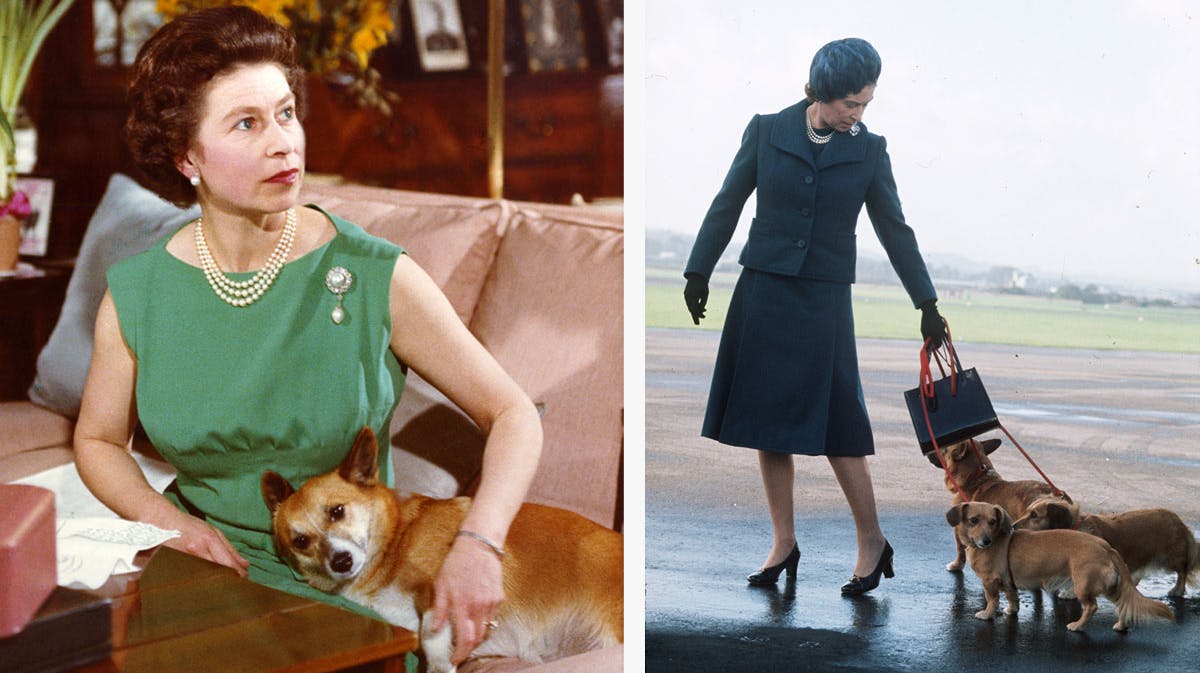 Dronning Elizabeth med sine hunde i 1969 og 1974.