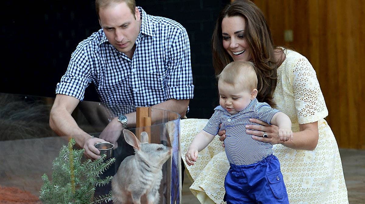 Prins William, hertuginde Catherine og prins George.