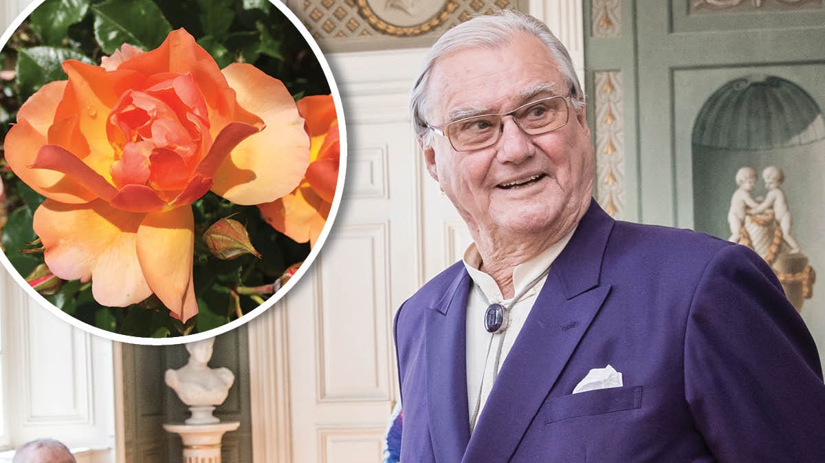 Prins Henrik