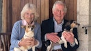 Hertuginde Camilla med hunden Bluebell og prins Charles med hunden Beth.