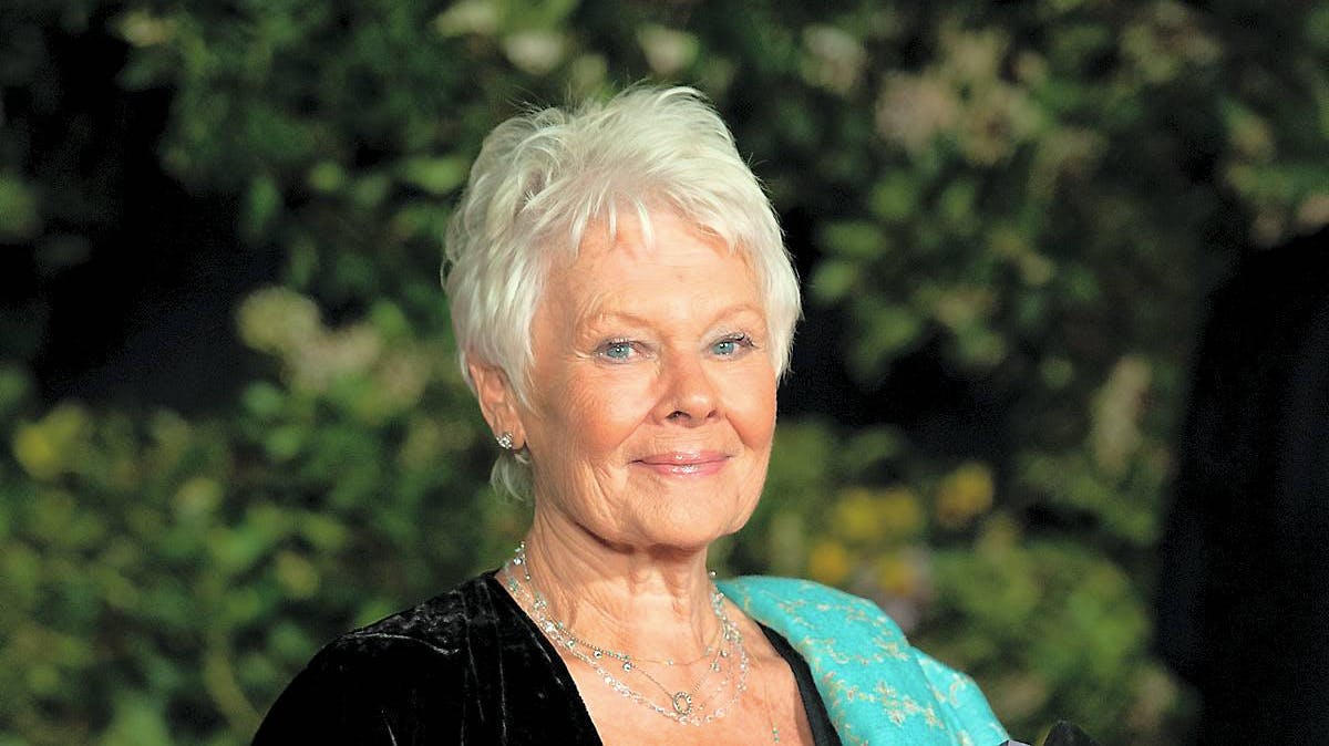 Judi Dench fotograferet i februar 2014.