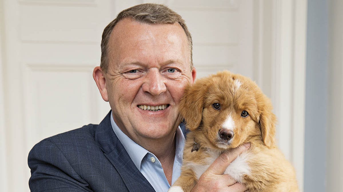 Lars Løkke Rasmussen med den yngste af sine to hunde, en novo scotia tolling retriever med navnet Fríða.