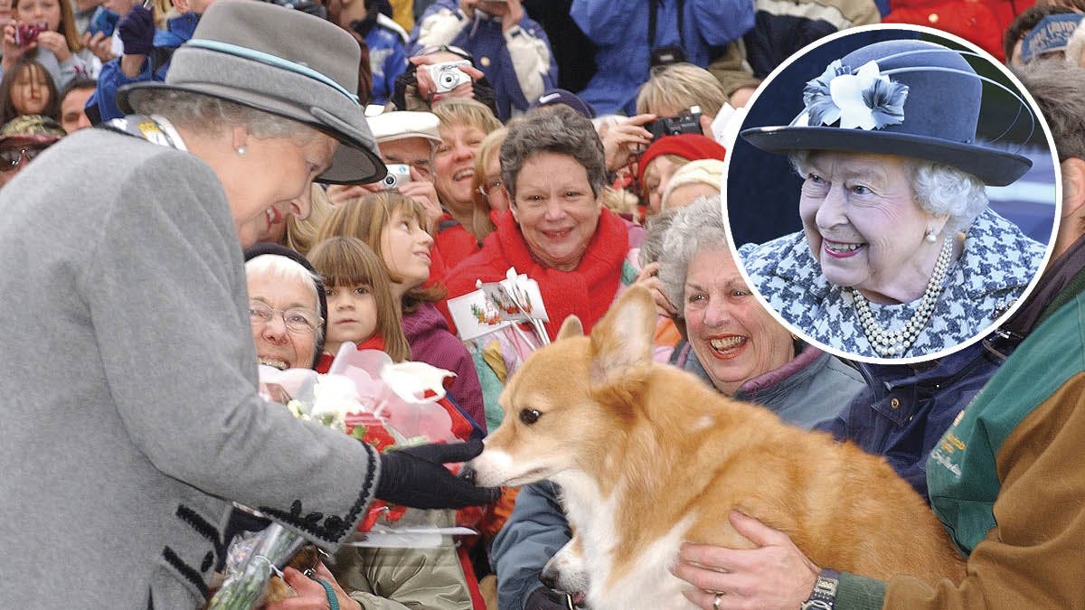 Dronning Elizabeths to nye hundehvalpe: Se deres rørende | BILLED-BLADET
