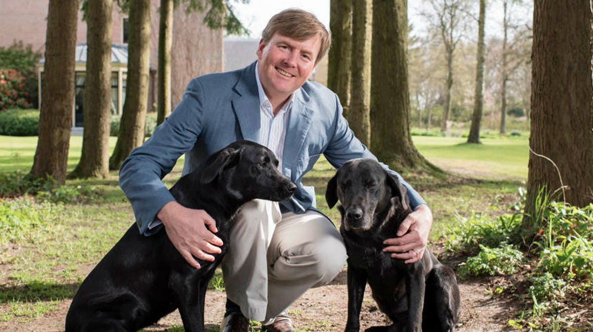 I forbindelse med sin 50-års fødselsdag i 2017 blev kong Willem-Alexander fotograferet med familiens hunde. 