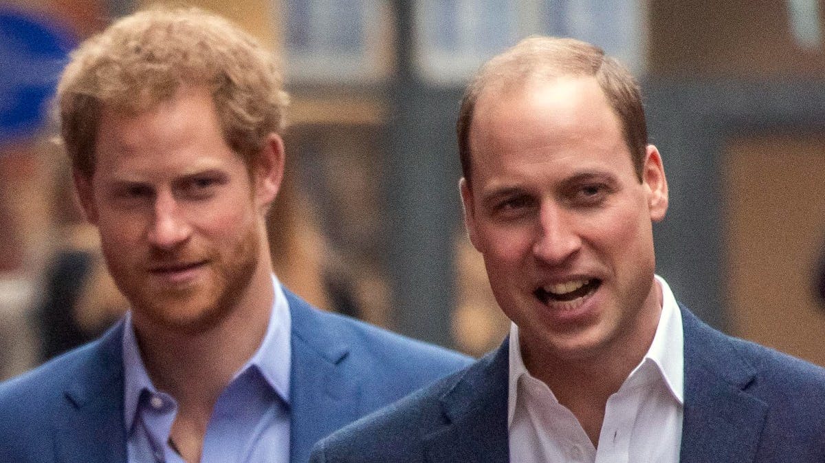 Prins Harry og prins William