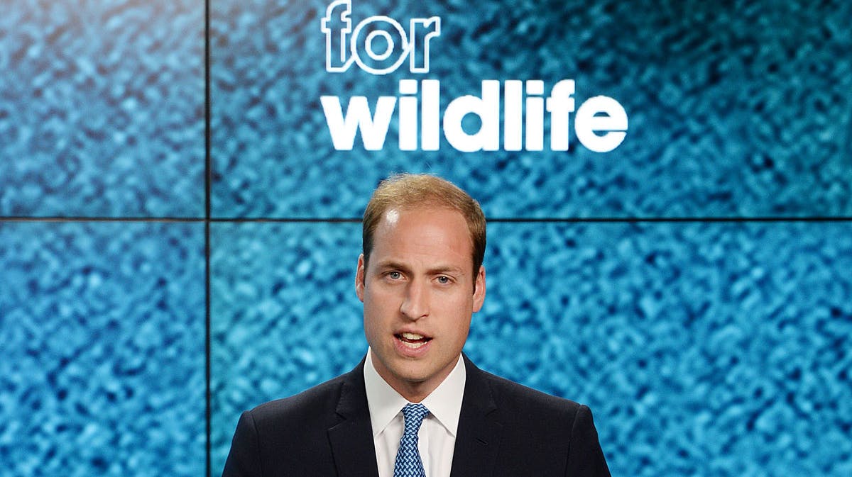 Prins William er præsident for United for Wildlife, et samarbejde med de syv største bevarelsesorganisationer i verden.