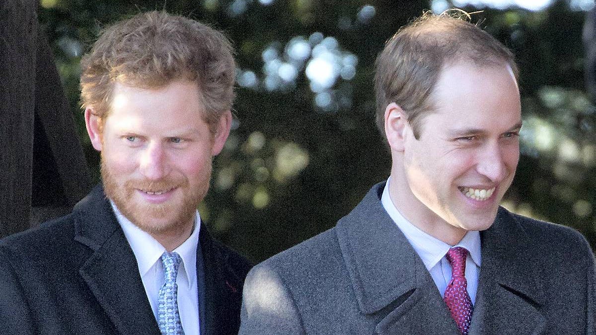 Prins Harry og prins William.