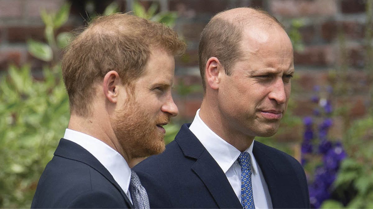 Prins Harry og prins William.