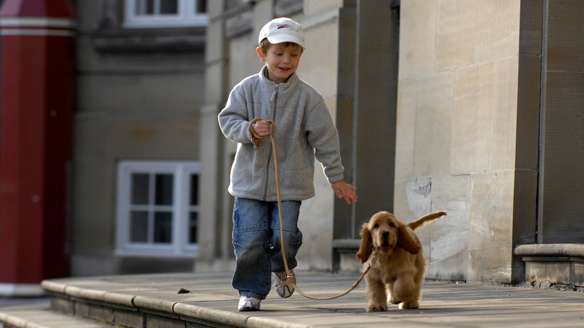 Prins Felix i fuld galop med hunden Winston