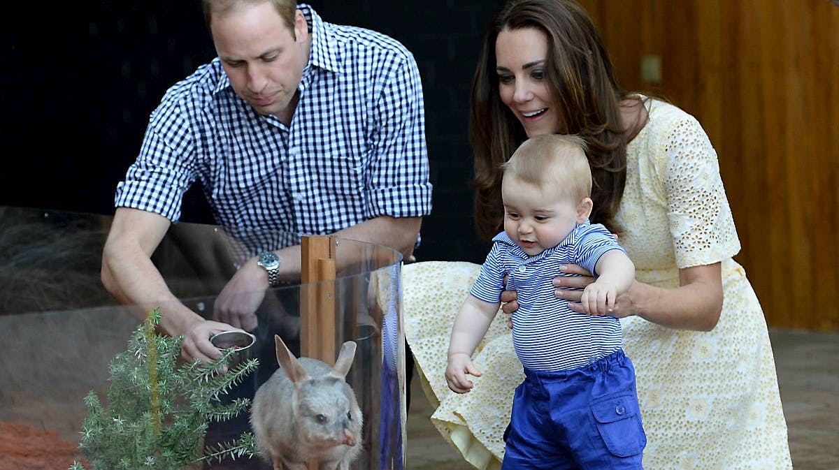 Prins William, hertuginde Catherine og prins George.