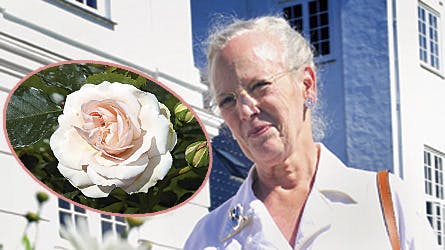 Dronning Margrethe