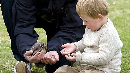Åhr far, må jeg ikke nok holde, kan man næsten høre prins Christian tigge sin far kronprins Frederik.