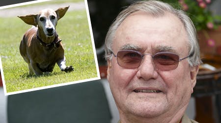 Prins Henrik og gravhunden Evita (billedet indsat)