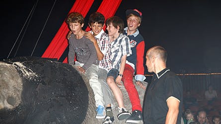 De har prøvet det før, men det er en stor oplevelse, hver gang Felix og Nikolai sætter sig på ryggen af den store elefant i Cirkus Dannebrog. Denne gang havde de fætter Joshua og Nikolais skolekammerat Axel med.