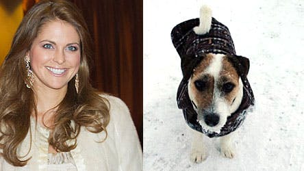 Prinsesse Madeleine er tæt knyttet til sin Jack Russel-terrier Zorro