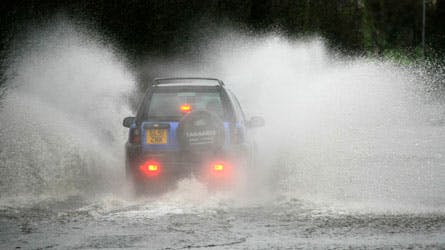 https://imgix.billedbladet.dk/media/billedbladet/livsstil/2012/marts/goderadnarregnenvaeterned.jpg