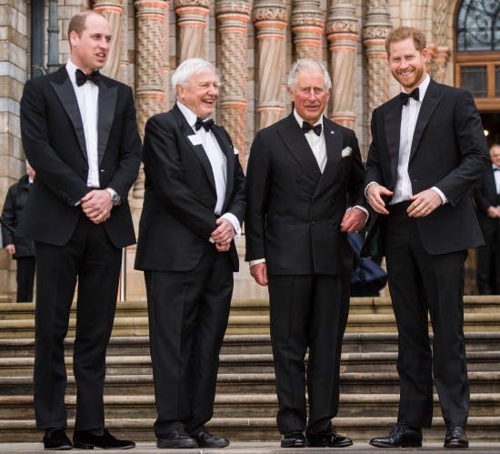 Prins William, David Attenborough, prins Charles og prins Harry