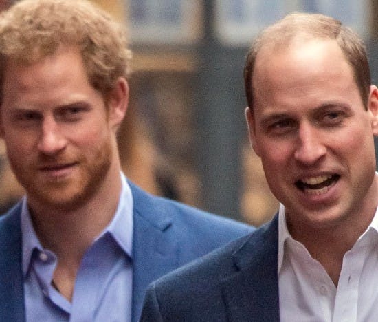 Prins Harry og prins William