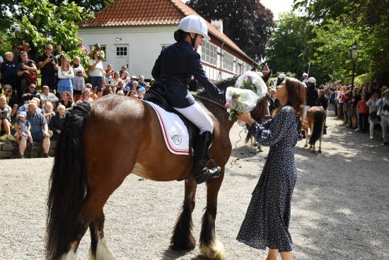 Kronprinsesse Mary