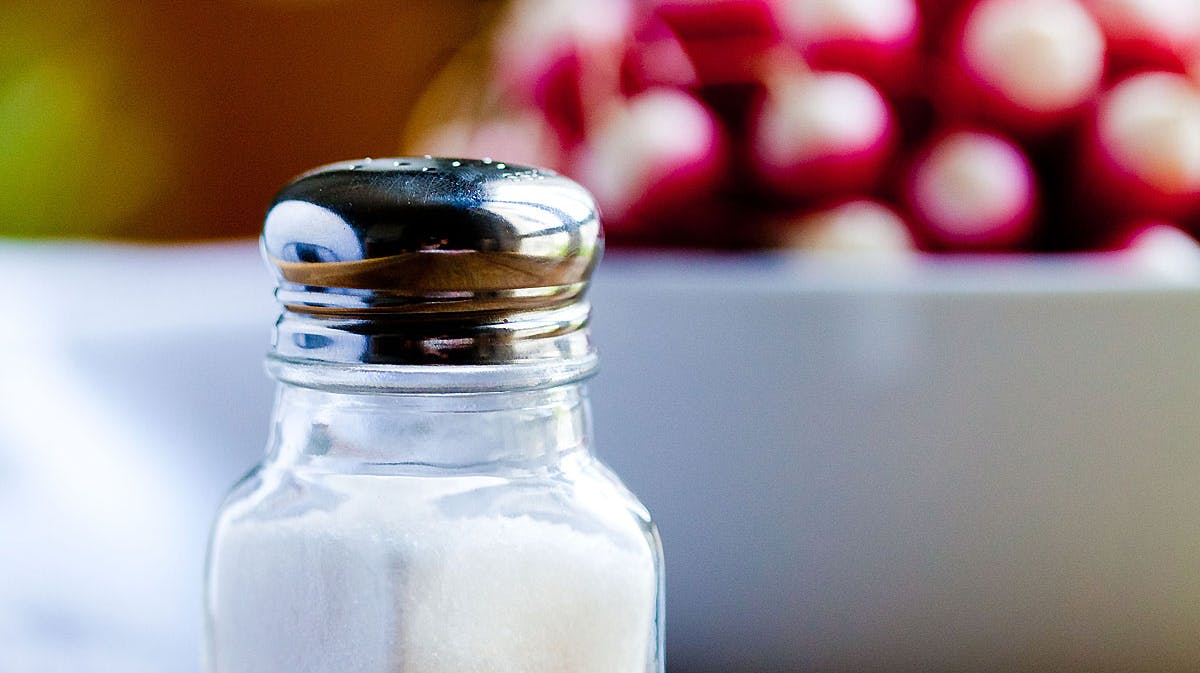 Salt i sommervarmen - få mere at vide her