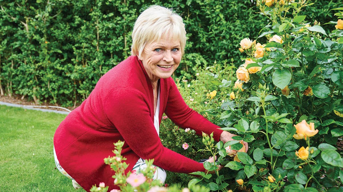 Det dufter lysegrønt af græs og rosenbuske, og blomster springer i øjnene med deres friske farver: Gul, orange, pink. Haven er Hildas domæne. Hun klipper til, luger ukrudt, og hver en plante får hendes opmærksomhed.