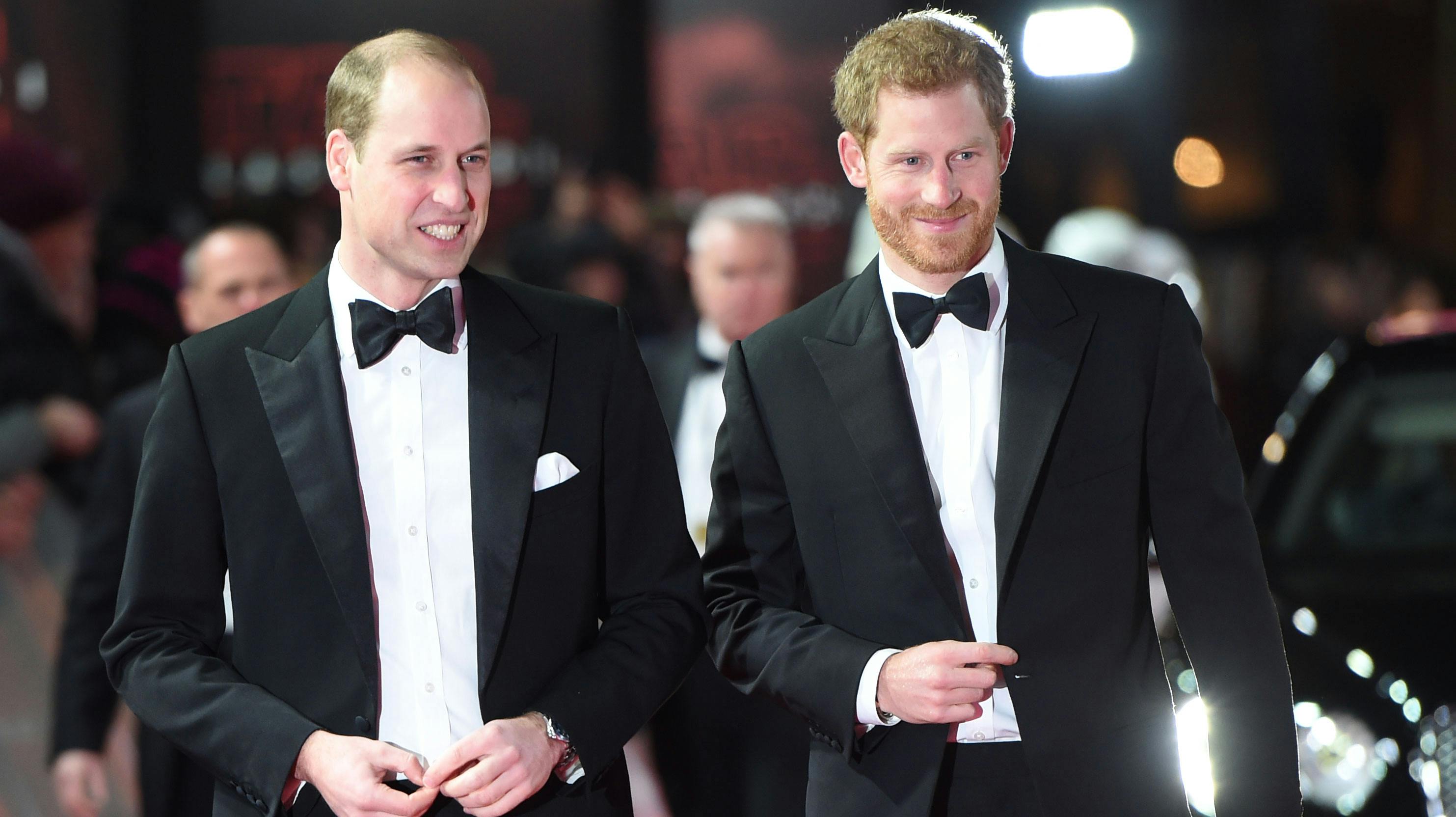 Prins William og prins Harry